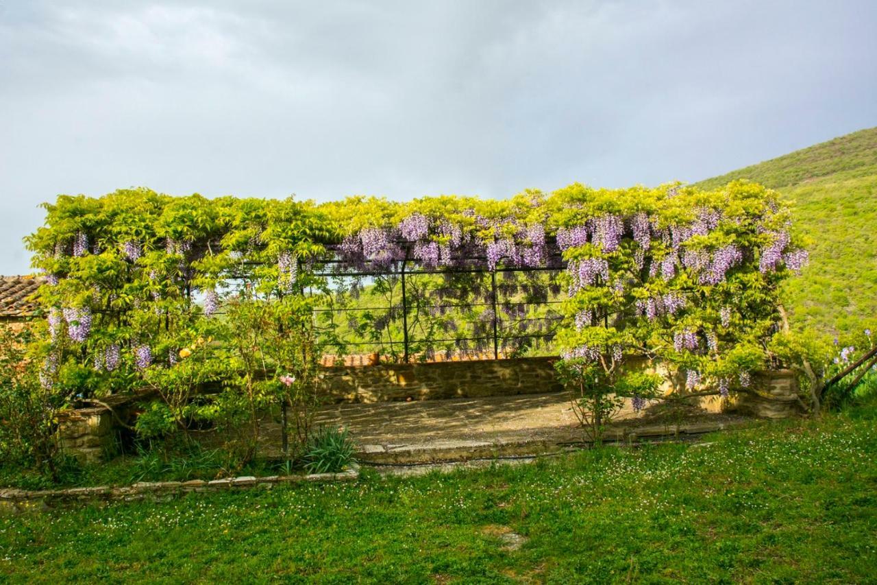 Hotel Borgo Solamore Cortona Exteriér fotografie